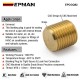 EPMAN Male M10 x 1.0 Metric Thread Brass Blanking Plug, Cap, Bung For Tight Secure & Leak Free Connection EPCGQ92